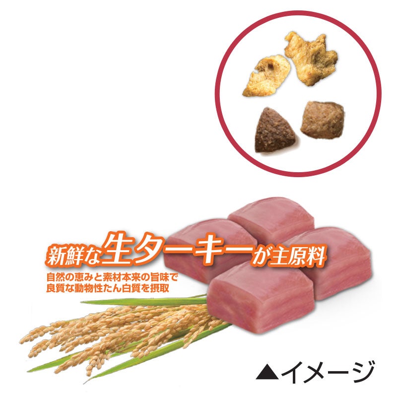 ほぐし粒入り1歳以上 体重ケア ターキー - ピュリナ ワン ドッグ
